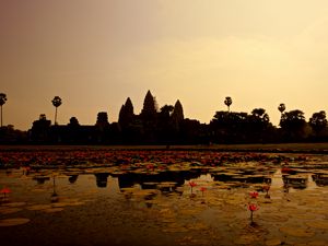 Превью обои пруд, лилии, панорама, камбоджа