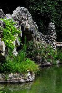 Превью обои пруд, мост, растительность, оформление, камни