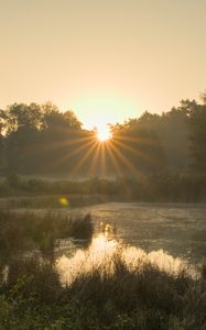 Превью обои пруд, рассвет, пейзаж, деревья, вода, природа