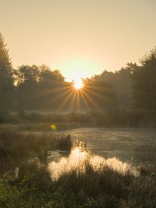 Превью обои пруд, рассвет, пейзаж, деревья, вода, природа