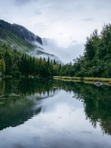 Превью обои пруд, туман, деревья, лес, природа, склон