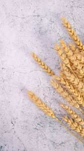 Превью обои пшеница, колосья, поверхность, трещины