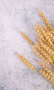 Превью обои пшеница, колосья, поверхность, трещины