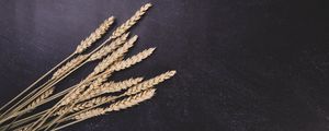Превью обои пшеница, колосья, поверхность