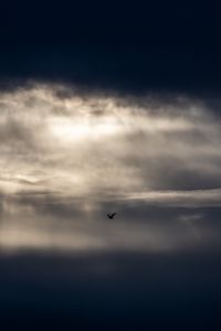 Превью обои птица, облака, небо, темный, минимализм