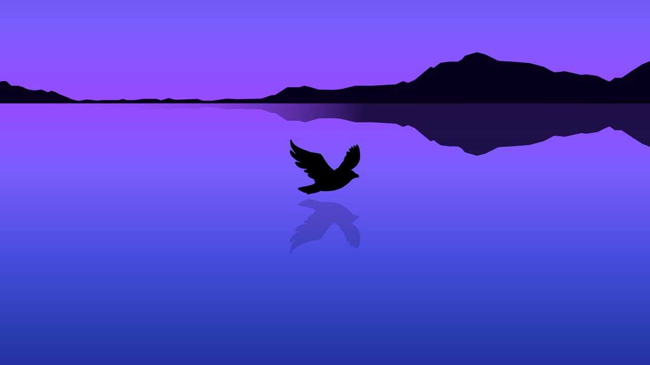 Обои птица, полет, вода, отражение, вектор, синий