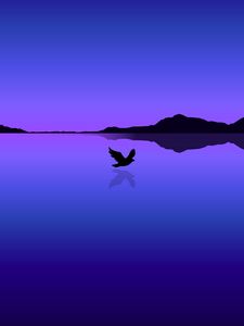 Превью обои птица, полет, вода, отражение, вектор, синий