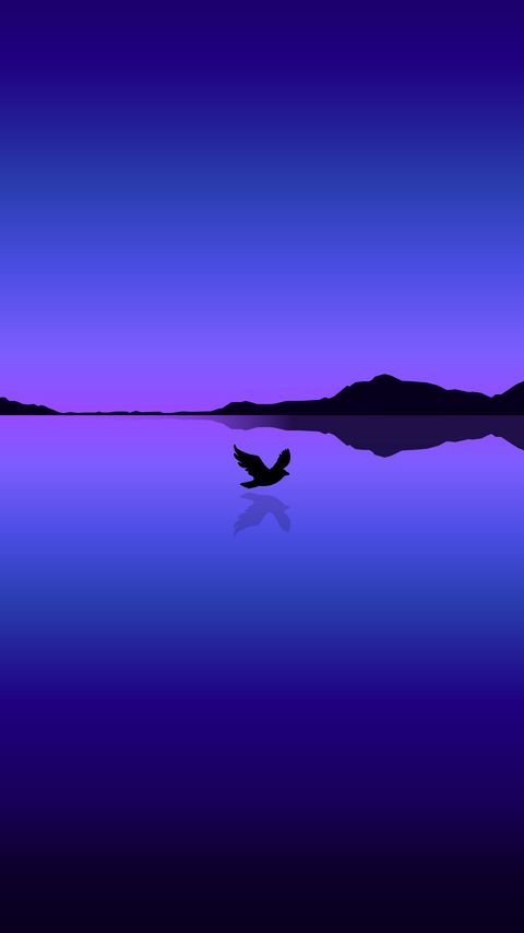 480x854 Обои птица, полет, вода, отражение, вектор, синий