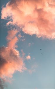 Превью обои птицы, облака, небо, розовый