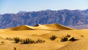 Превью обои пустыня, дюны, горы, песок, кусты, природа