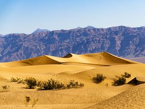 Превью обои пустыня, дюны, горы, песок, кусты, природа