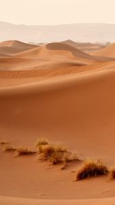 Превью обои пустыня, дюны, холмы, песок, природа