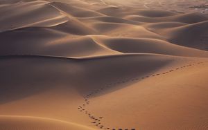 Превью обои пустыня, дюны, песок, следы, пейзаж