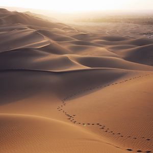 Превью обои пустыня, дюны, песок, следы, пейзаж
