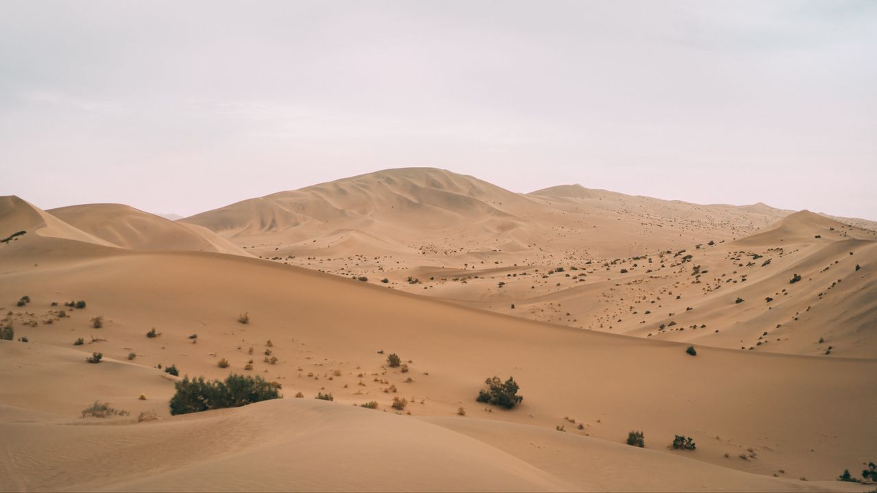 Обои пустыня, холм, барханы, песок