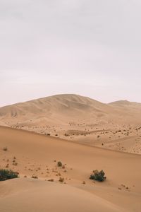 Превью обои пустыня, холм, барханы, песок