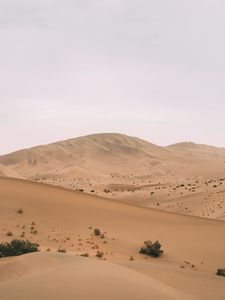 Превью обои пустыня, холм, барханы, песок