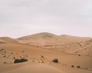 Превью обои пустыня, холм, барханы, песок