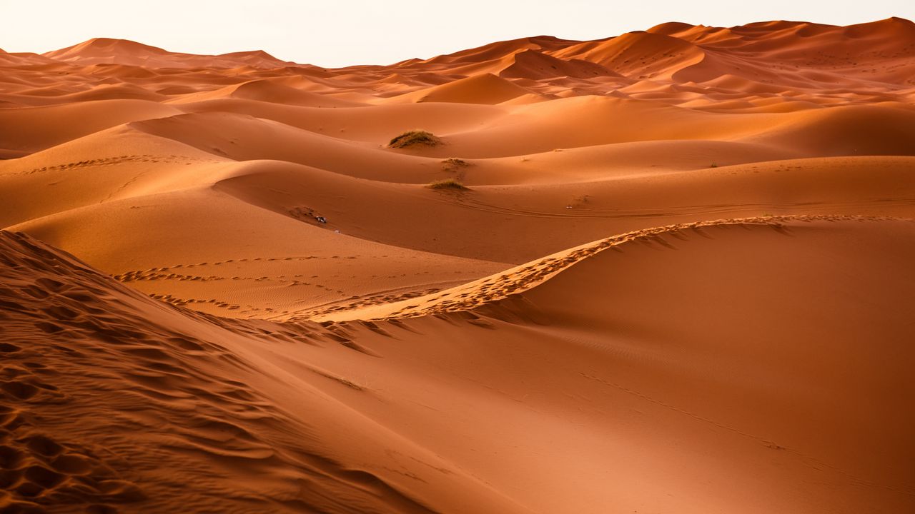 Пустыня Такла-Макан 4k