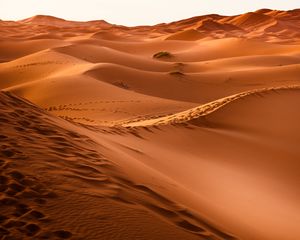 Превью обои пустыня, марокко, дюна, песок