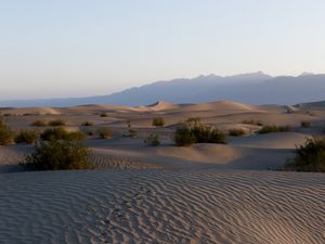 Превью обои пустыня, пески, следы, рельеф, долина