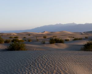 Превью обои пустыня, пески, следы, рельеф, долина