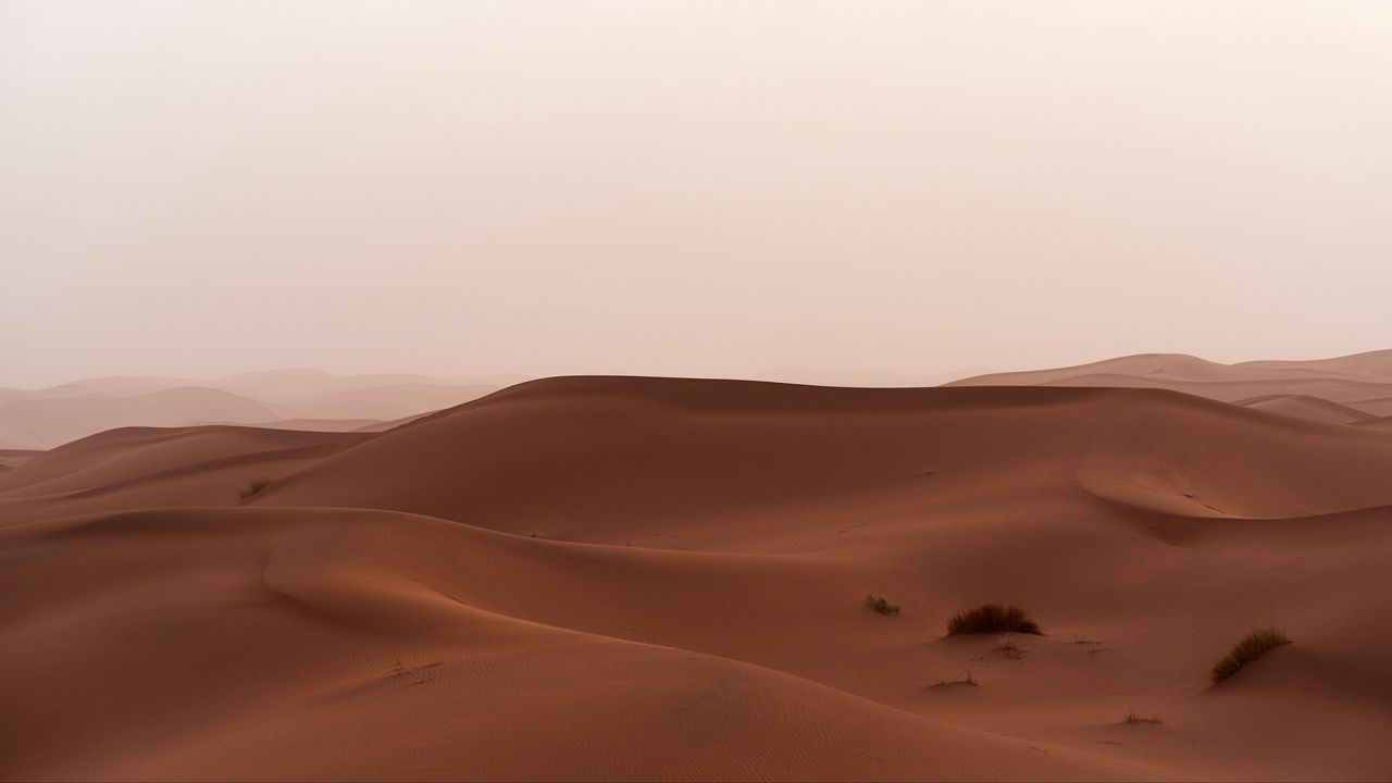 Обои пустыня, песок, барханы, трава, горизонт