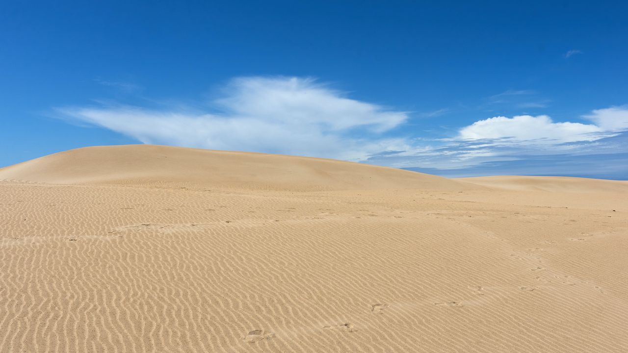 Обои пустыня, песок, барханы, волнистый, след, небо