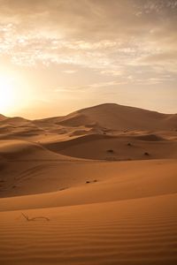 Превью обои пустыня, песок, дюны, горизонт