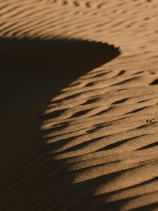 Превью обои пустыня, песок, рельеф, коричневый