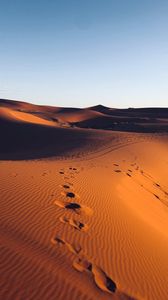 Превью обои пустыня, песок, следы, марокко