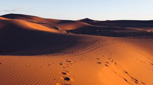 Превью обои пустыня, песок, следы, марокко