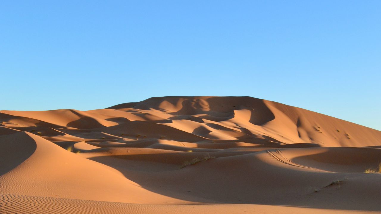 Обои пустыня, песок, следы, барханы, небо