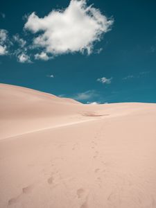 Превью обои пустыня, песок, следы, облако