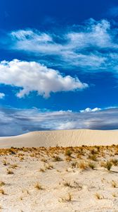 Превью обои пустыня, песок, трава, сухой, небо, облака