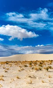 Превью обои пустыня, песок, трава, сухой, небо, облака