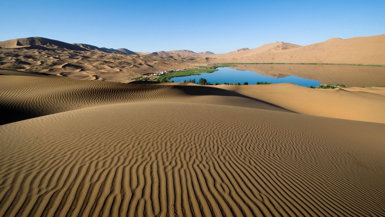 Обои пустыня, песок, узоры, линии, оазис, озеро, берега, растительность