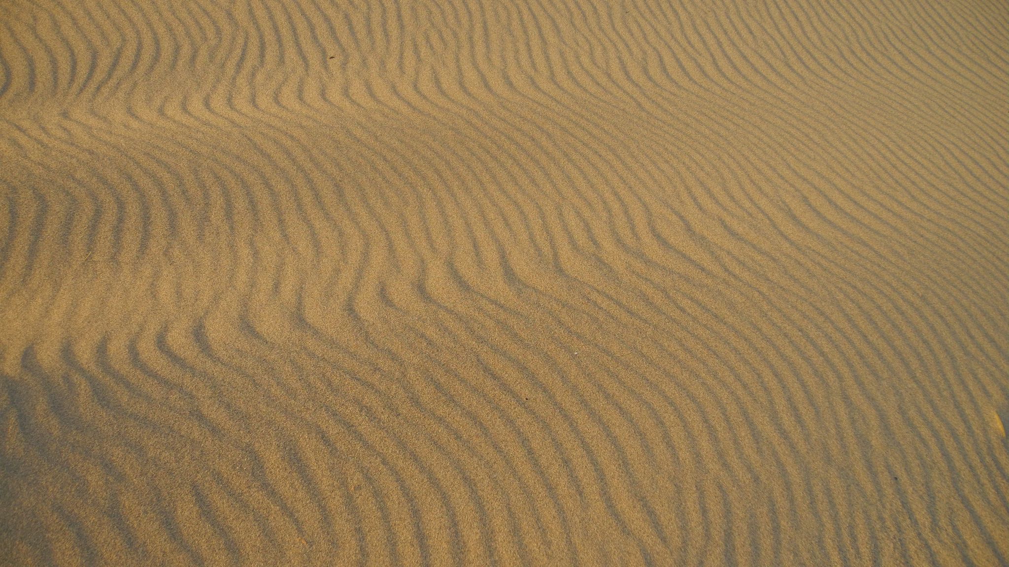 Песок поверхность. Стекло Sand Waves, песчаные волны). Песок фото 1680 900. Картинки для обоев на рабочий стол необычное.