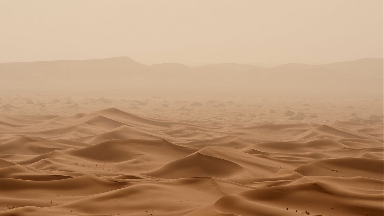 Обои пустыня, песок, волны, рельеф, коричневый