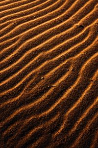 Превью обои пустыня, песок, волны, рельеф, текстура, коричневый