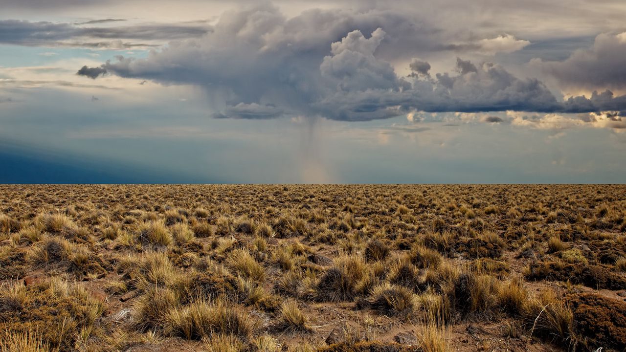 Обои пустыня, растительность, облака, тучи, перед дождем