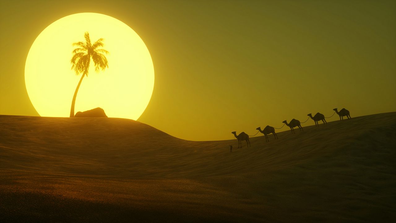 Обои пустыня, солнце, пальма, холм, арт