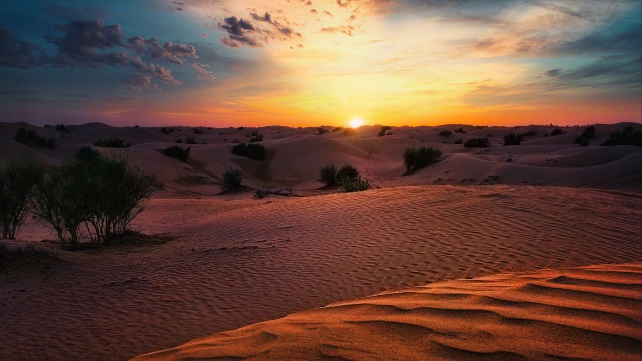 Обои пустыня, закат, песок, холмы, кусты