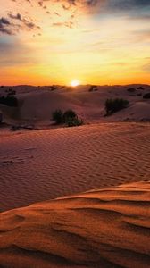 Превью обои пустыня, закат, песок, холмы, кусты