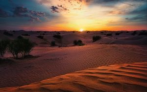 Превью обои пустыня, закат, песок, холмы, кусты