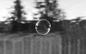 Превью обои пузырь, прозрачный размытие, черно-белый
