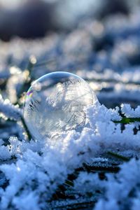 Превью обои пузырь, шар, иней, снег
