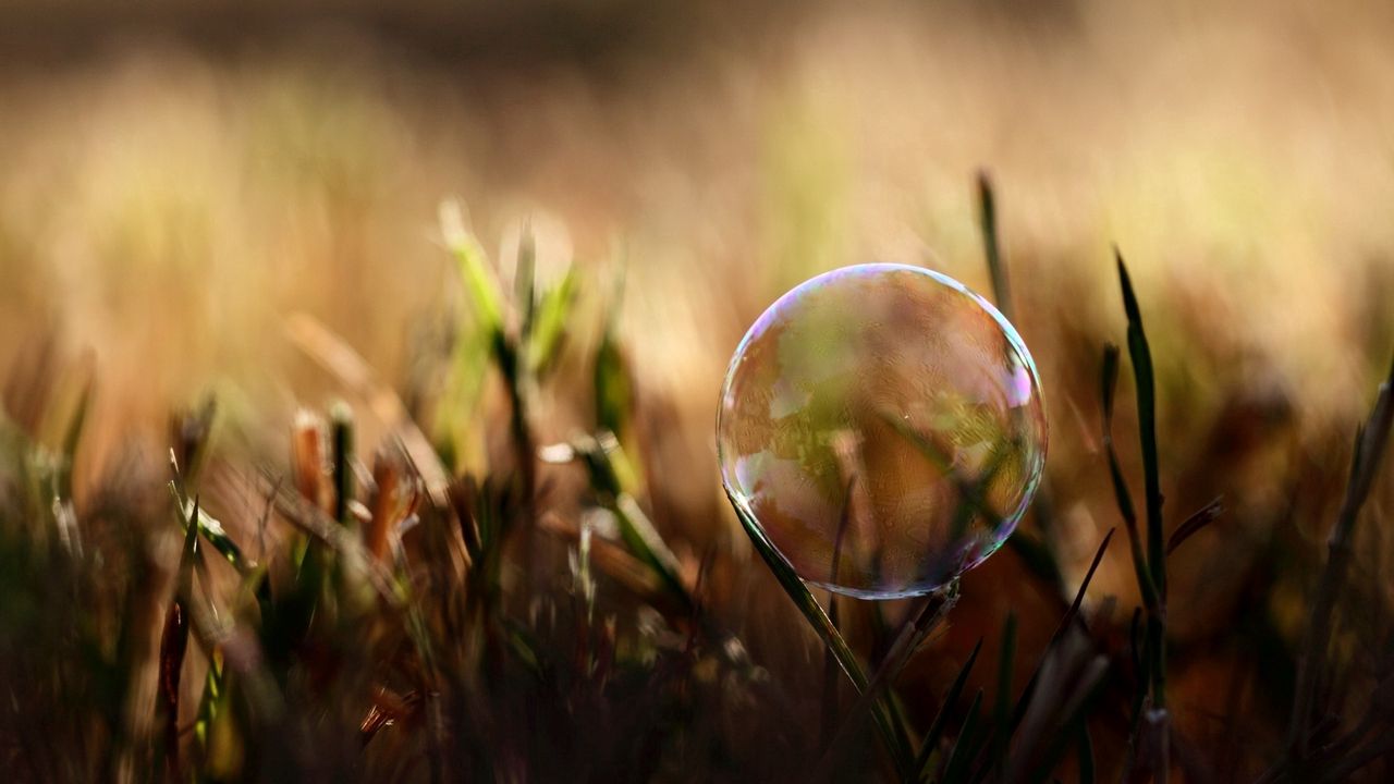 Обои пузырь, влага, трава, блики
