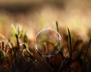 Превью обои пузырь, влага, трава, блики