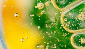 Превью обои пузыри, градиент, форма, поверхность, зеленый